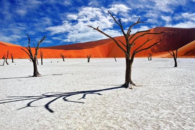 Намибия. Deadvlei