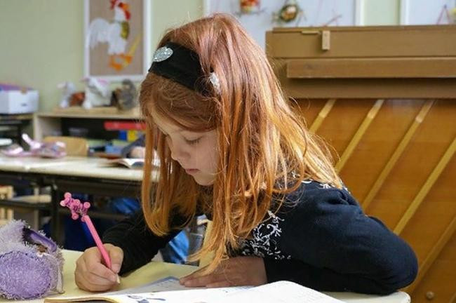 Оценки ученика знает только он и его родители