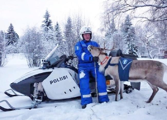 Олени для полицейских