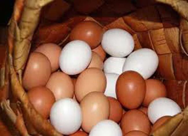Яйца вредны для сердца