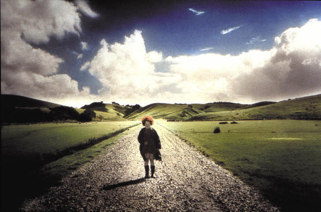 23. Ангел за моим столом / An Angel At My Table (1990)
