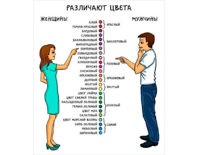 Способность лучше воспринимать цвета