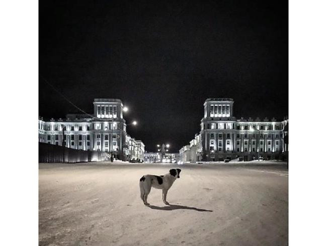 Полярная ночь