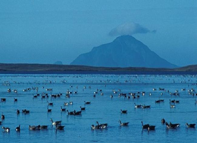 Амак (Amak Volcano), Аляска