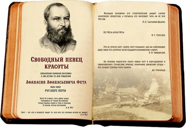 Борьба за место под солнцем