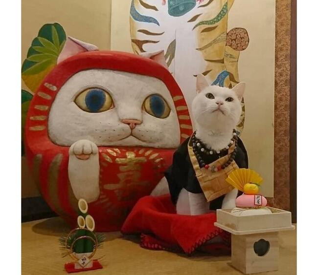 Храм кошек (Япония)