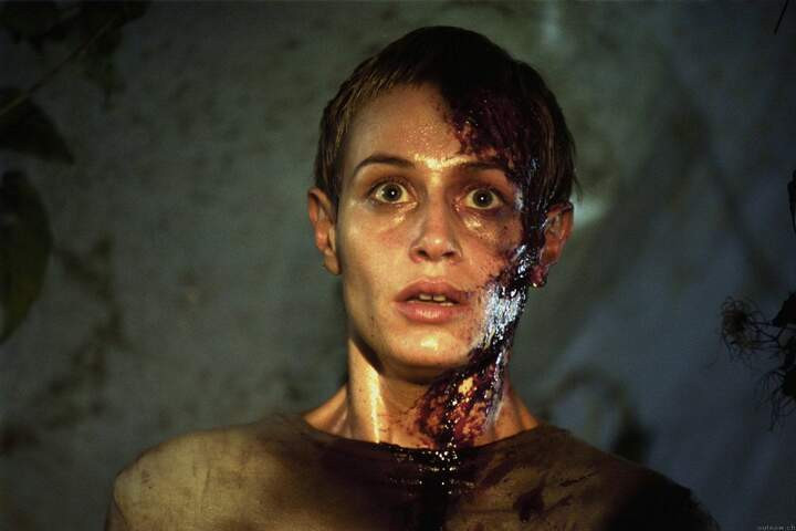 9. Кровавая жатва / Haute tension (2003)
