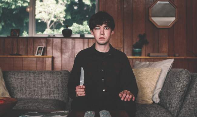 2 «Конец ***го мира» (The End Of The F***ing World), 2017–2019 гг.