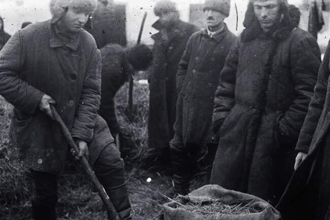 Неудачный инструмент для борьбы с расхищениями, или как использовали на практике «Указ 7-8»