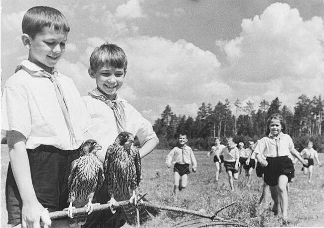 9. Прививать любовь к природе