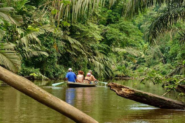 Tortuguero