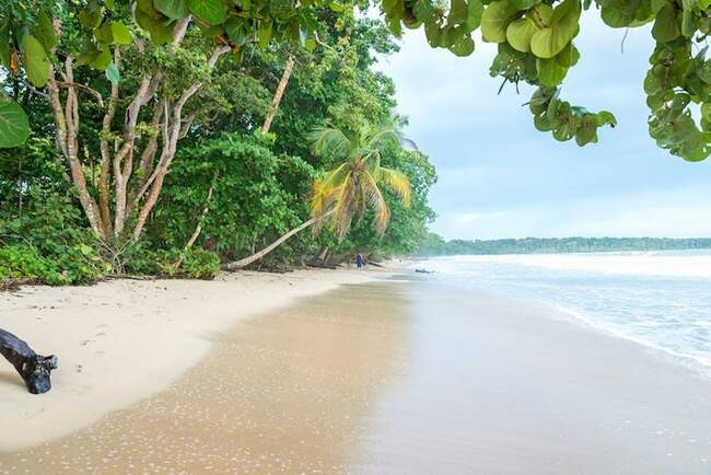 Cahuita