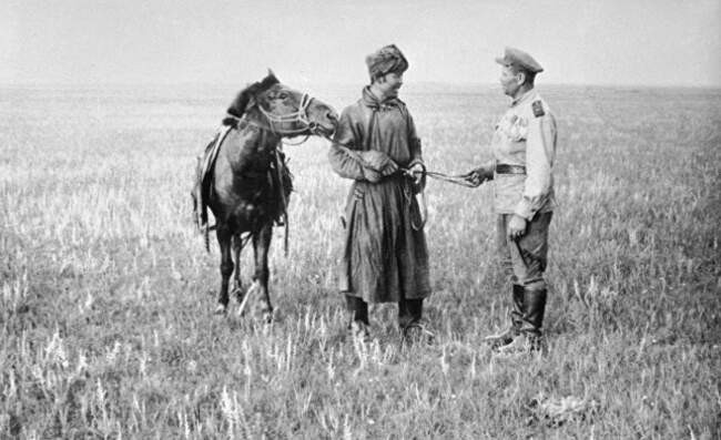 Каждая пятая фронтовая лошадь – из Монголии