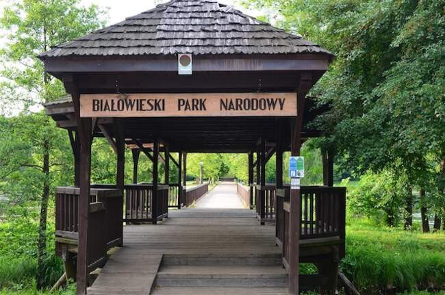 9. Беловежский Национальный парк