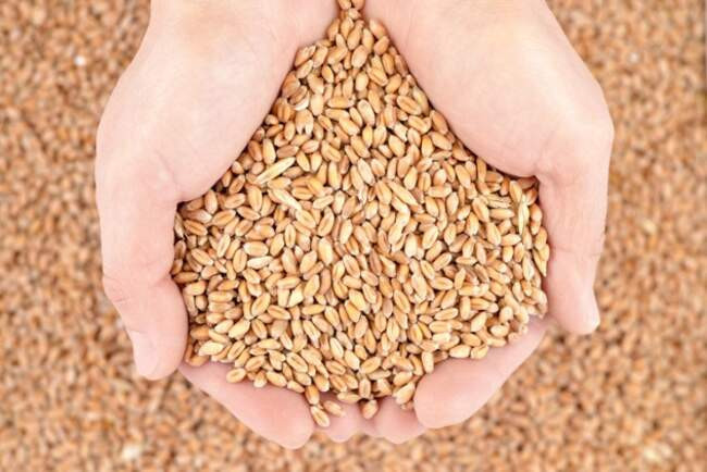 10. Бесплатные продукты