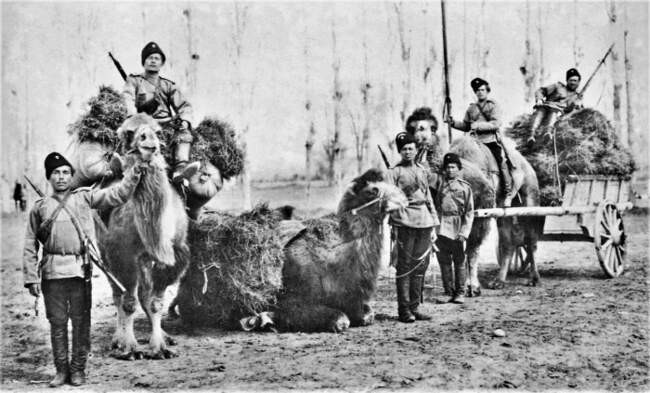 Как отреагировала Англия на Большой поход русских в Среднюю Азию в 1864 году