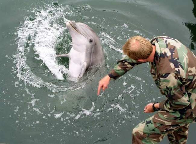 Военные