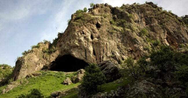 9. Новые находки в Шанидаре (Shanidar)