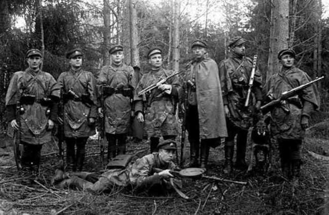 Лесные диверсионные будни