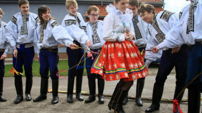 8. Чешские розги