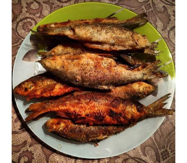7. Жареха из судака