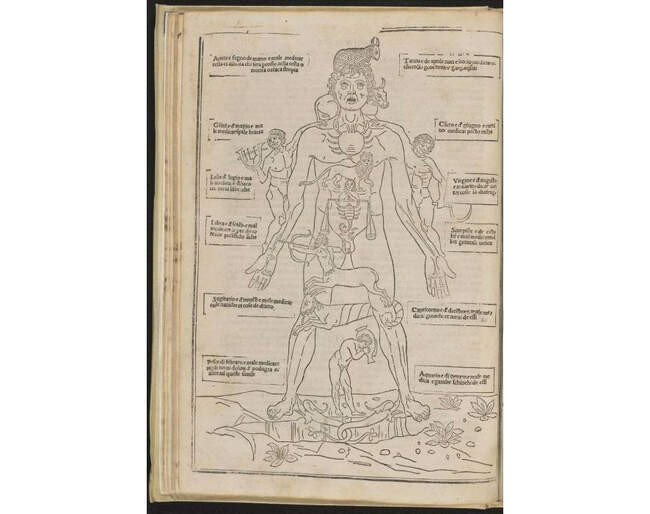 2. Зодиакальная медицина