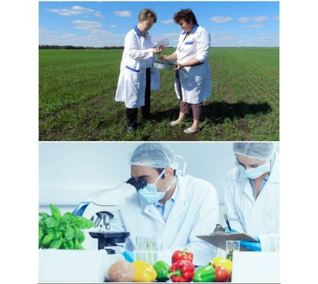 3. Российская продукция более качественная и экологически чистая