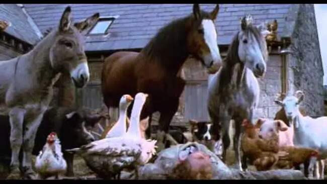 3. Скотный двор (Animal Farm)