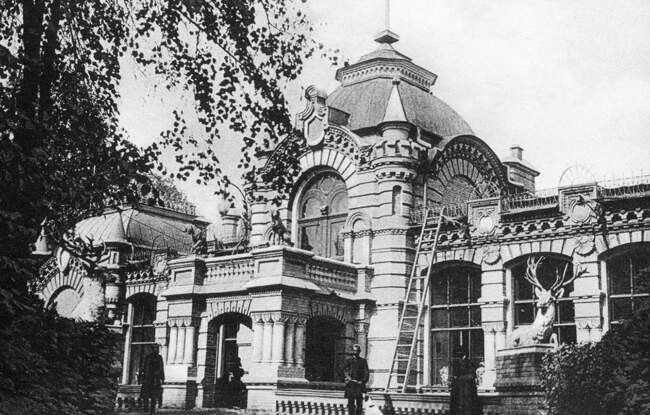 Ташкентский Романов