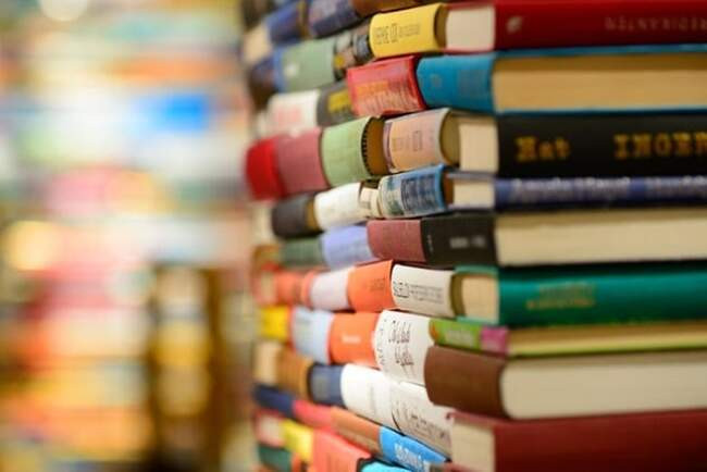 "Книжный бандит"