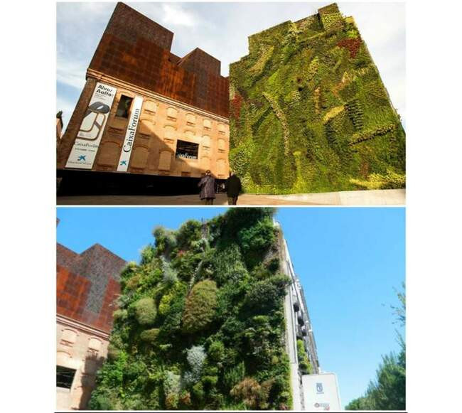 2. Культурный центр CaixaForum Madrid в Мадриде (Испания)