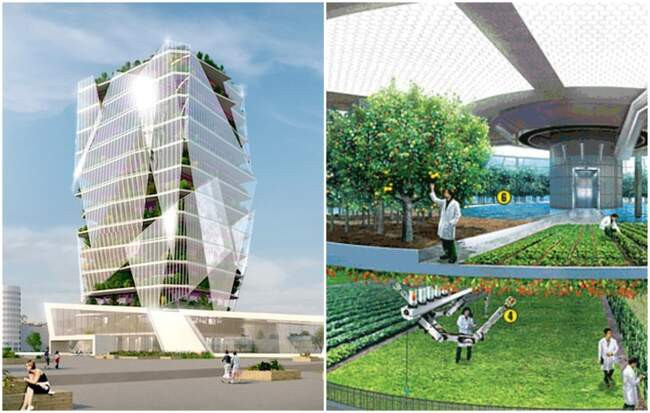 5. Вертикальная оранжерея Hortus Celestia в Налдвейке (Нидерланды)