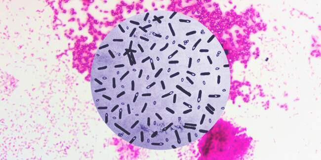 2 Ботулизм (Clostridium botulinum)