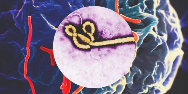 4 Геморрагическая лихорадка Эбола (Ebola virus disease)