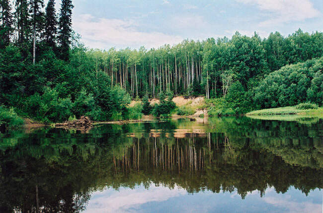 5. Лагеря ГУЛАГа – Глухая Вильва
