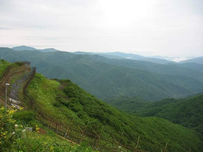 Демилитаризованная зона (DMZ) Корейского полуострова