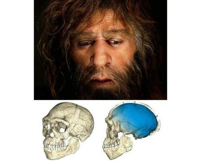 Миф: неандертальцы были глупыми животными, которые не жили вместе с Homo Sapiens
