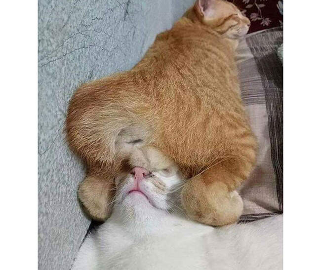 # 7 И смех и грех!