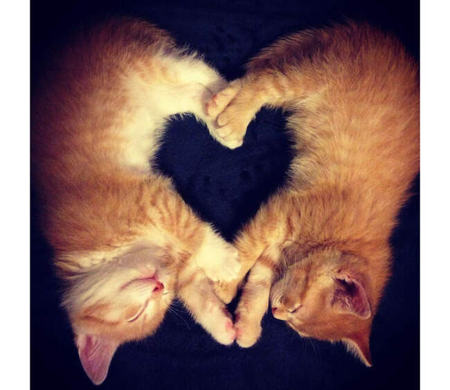 # 8 Мимиметр сломался.