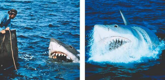 «Челюсти» (Jaws), 1975