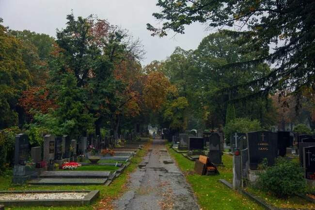 Австрия. Кладбище Zentralfriedhof