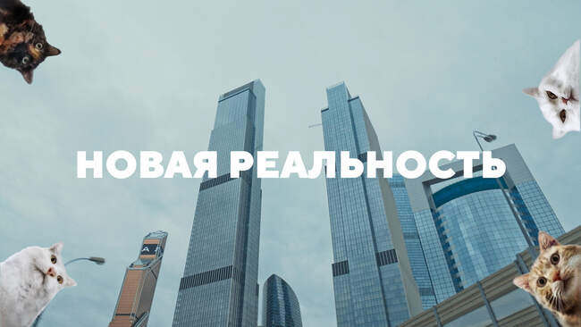 «Новая реальность»