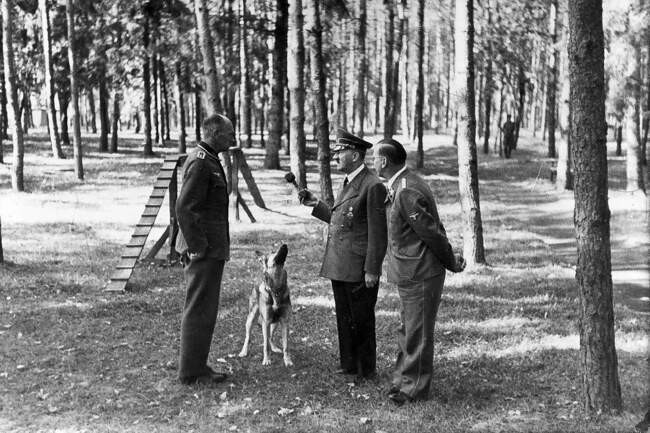 Ставка «Вервольф», Украинская ССР, 1942-1943 гг.