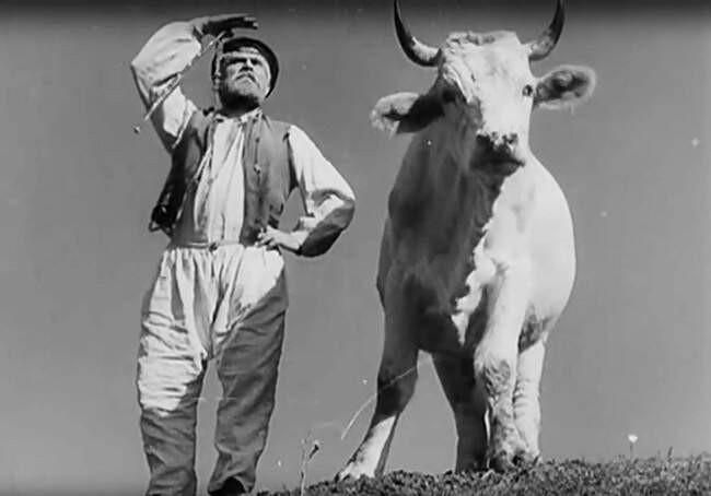 5. «Земля» (1930), Александр Довженко