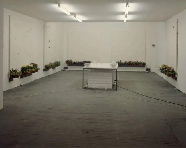 «Влюбиться и разлюбить» (1991). Тейт Модерн , Лондон