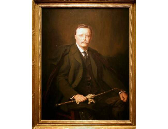 3. Теодор Рузвельт (Theodore Roosevelt)