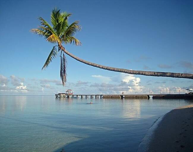 11. Сулавеси (Sulawesi)