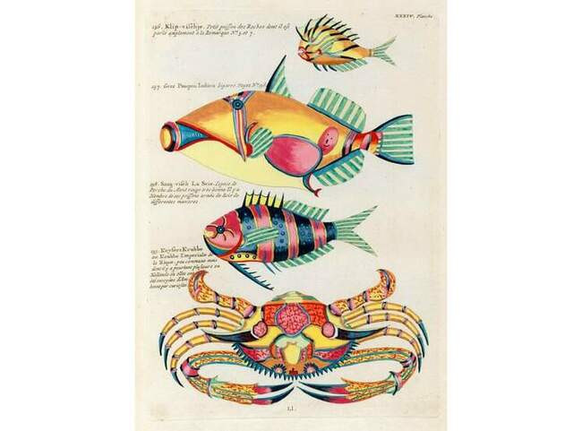 Poissons, ecrevisses et crabs, Луи Ренар (1719)
