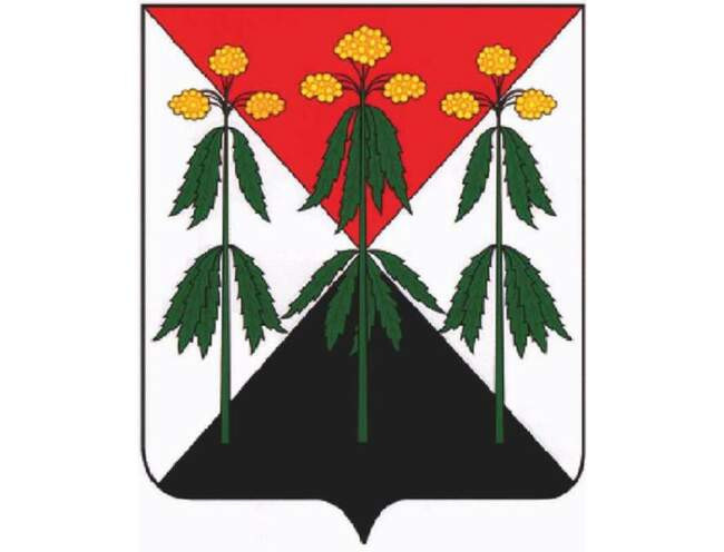 Герб Епифани