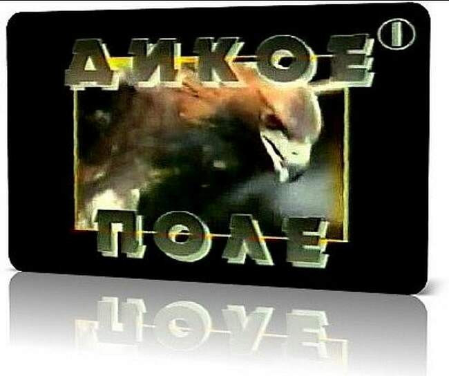 «Дикое поле»